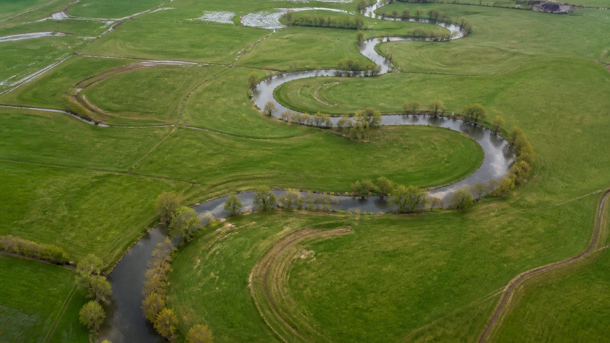 Kronkelende rivier door groene uiterwaarden met oude meanderlittekens