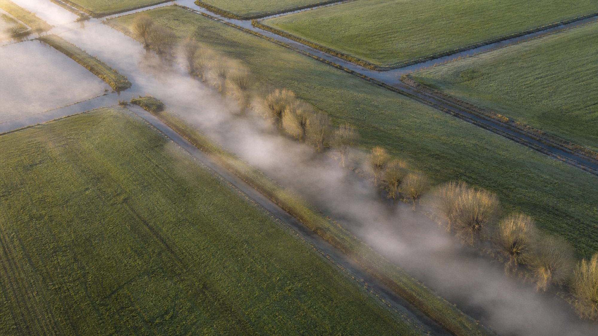 Laaghangende mist in de sloten van een vlak weiland bij zonsopgang