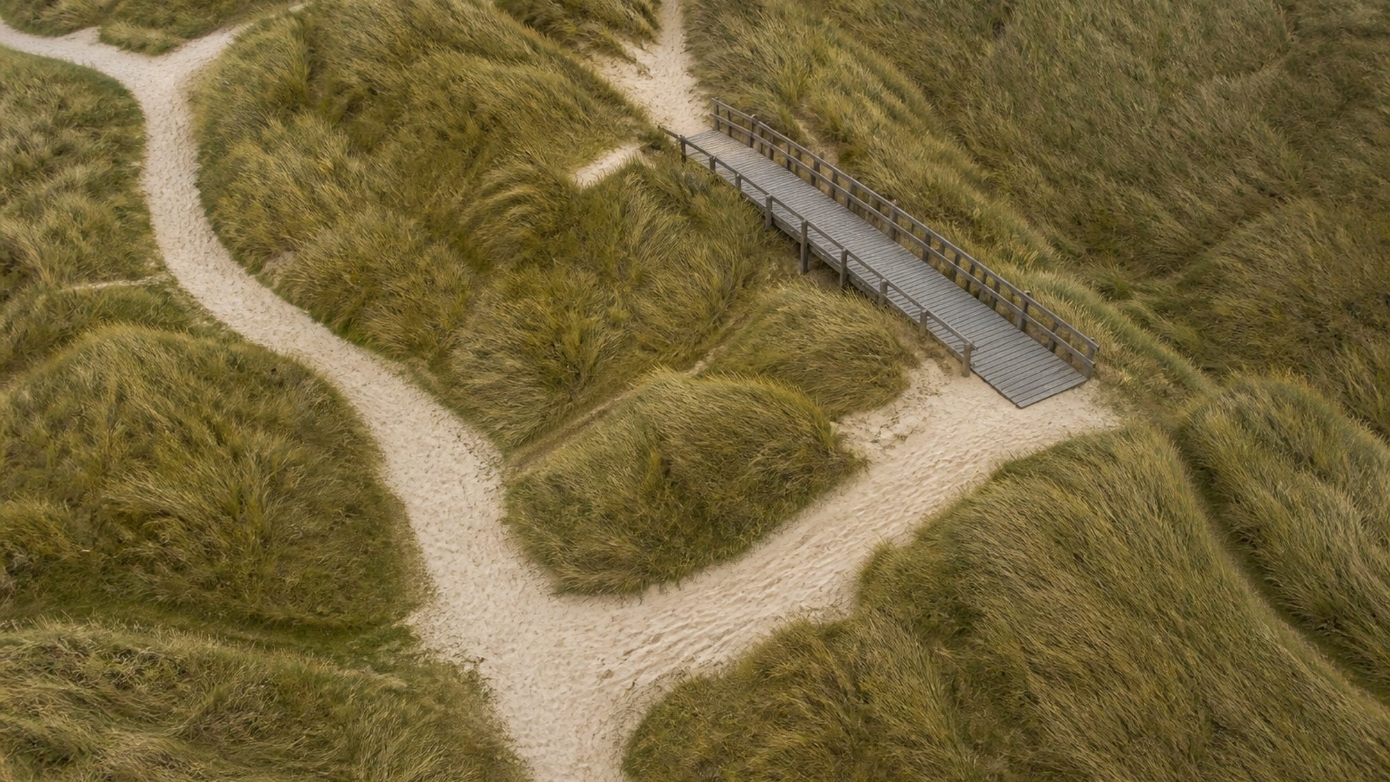 Duinen met zandpaden tussen helmgras en een houten strandopgang