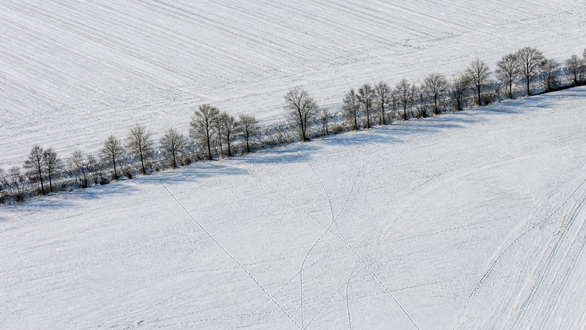 Besneeuwde akkers van bovenaf met tractorsporen door het wit