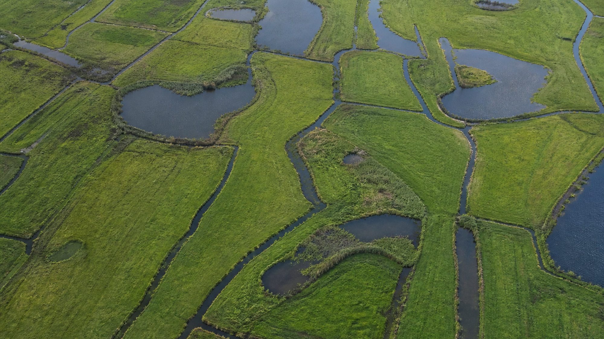 Vlak grasland van bovenaf met kleine plassen die het licht vangen